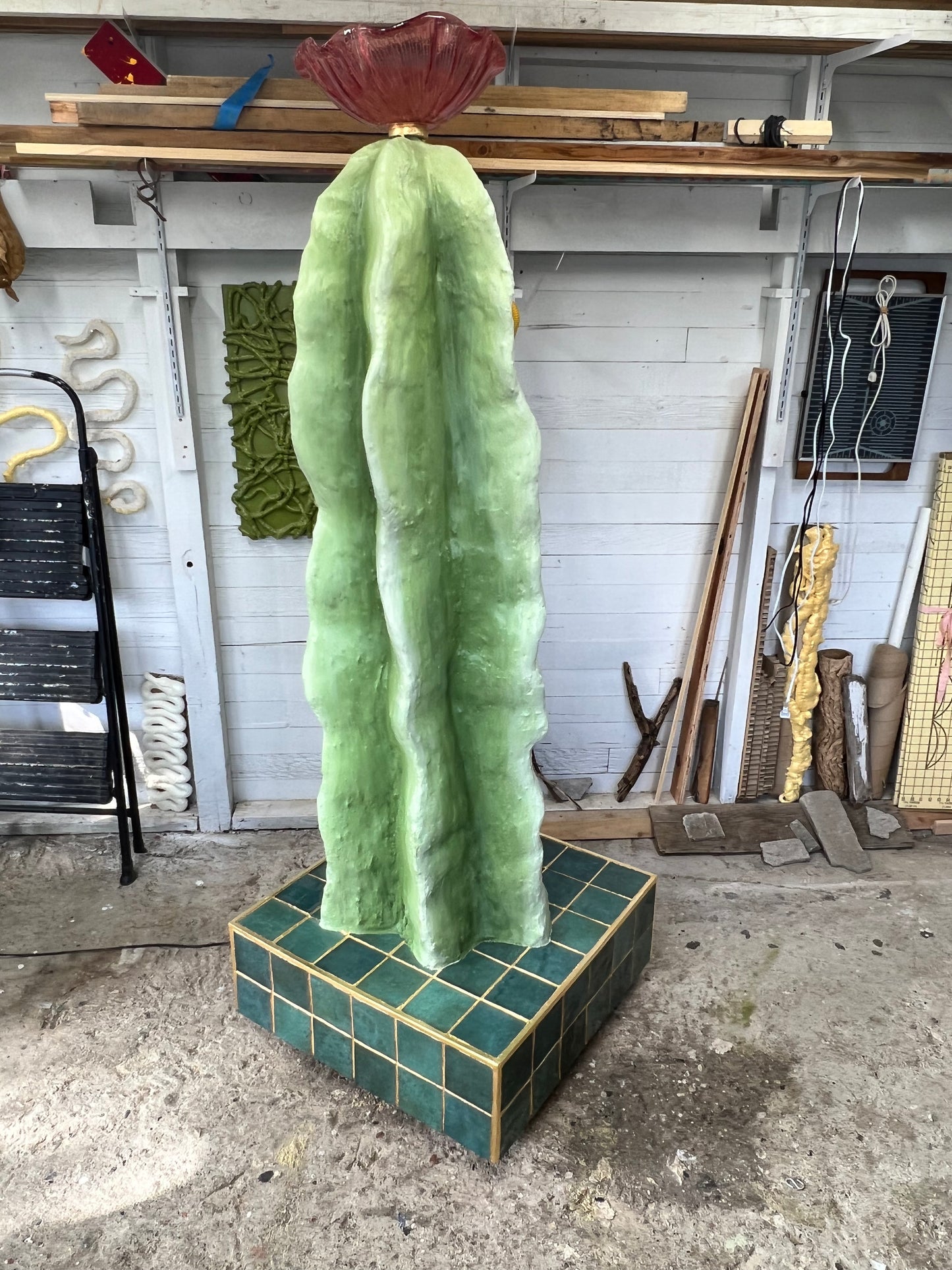 Mermaid Cactus